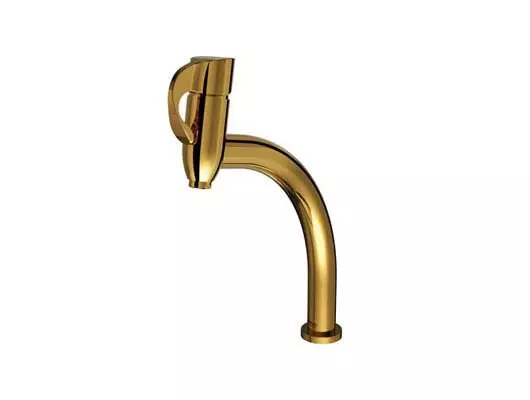 ظرفشویی طلایی